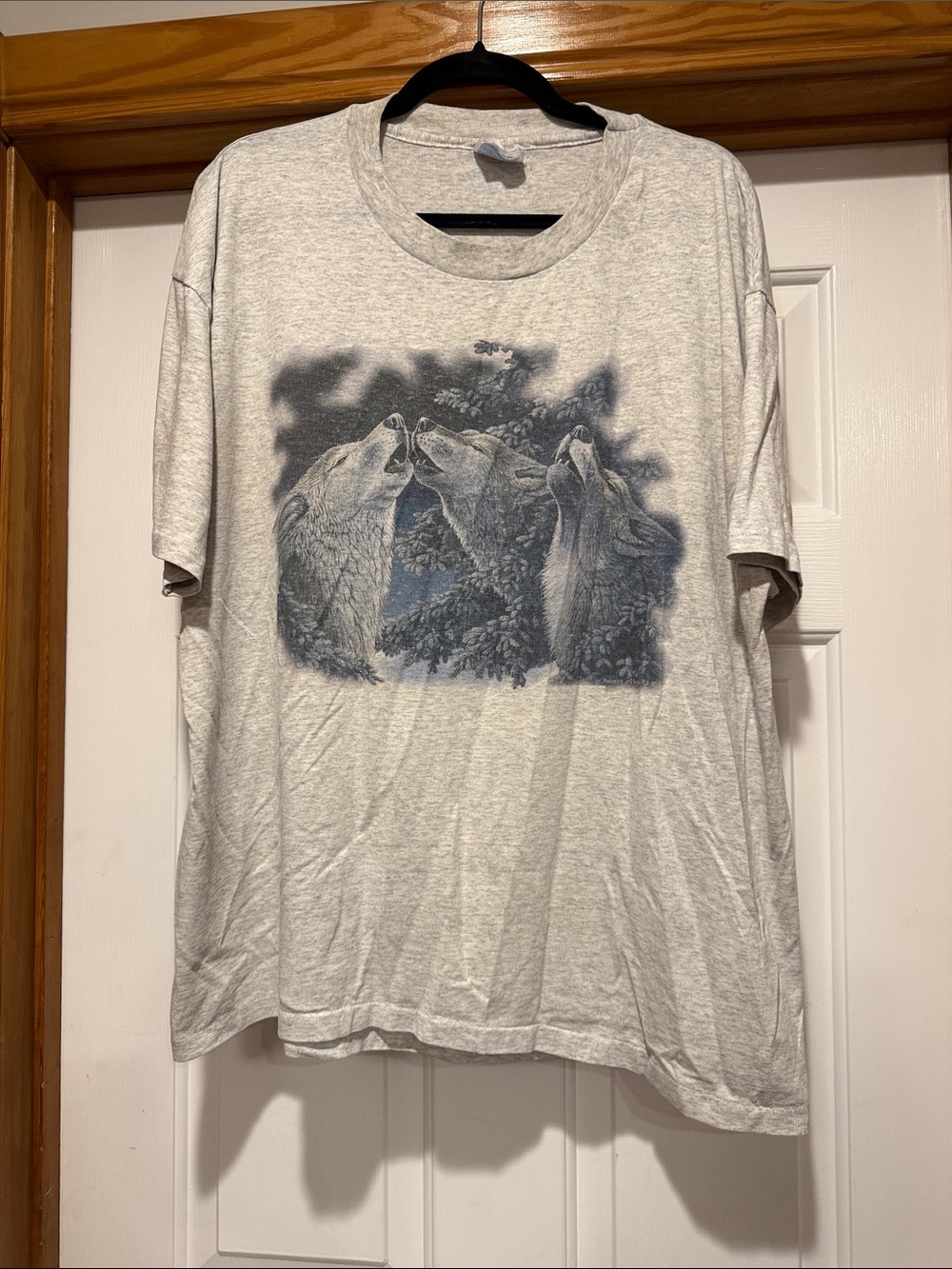 Hanes Heather Gray Three Wolves Graphic Short Sleeve Tee